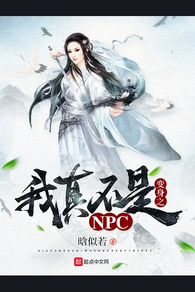 I’m Really Not an NPC