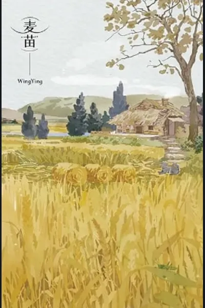 Wheat Seedlings