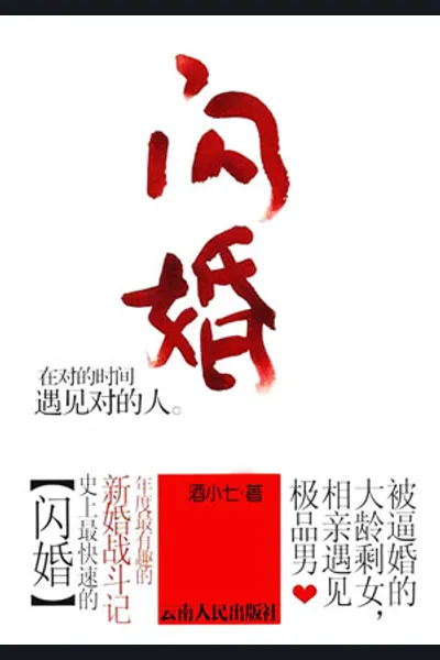 Flash Marriage (Jiu Xiao Qi)