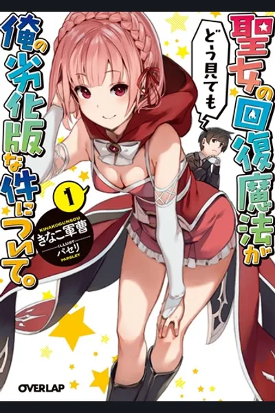 Seijo no Kaifuku Mahou ga Dou Mitemo Ore no Rekkaban na Ken ni Tsuite