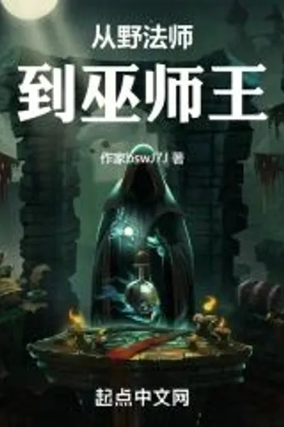 From Wild Mage to Wizard King