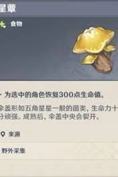 Mushroom Man Adventure Guide
