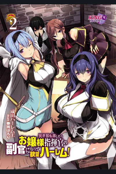 When I was Transferred to Another World, I Became the Adjutant of a Lady Commander and Beared the Brunt of a L*stful Harem! (WN)