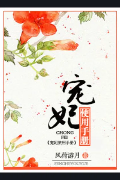 Chongfei Manual