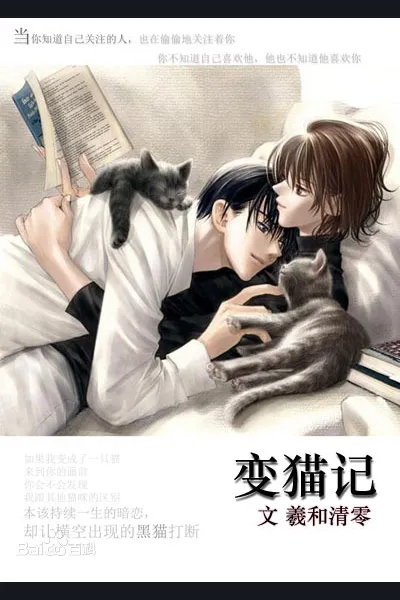 The Cat Transformation