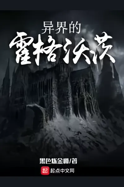 Hogwarts Outsider