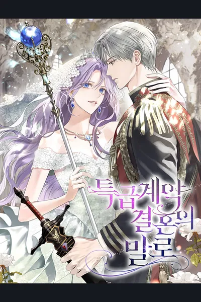 In the Name of Special Contract Marriage