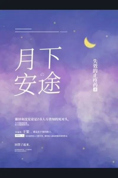 Safe Journey Under the Moon