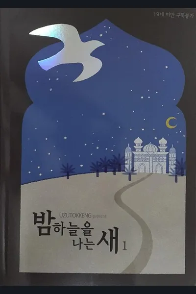 A Bird Flying in the Night Sky